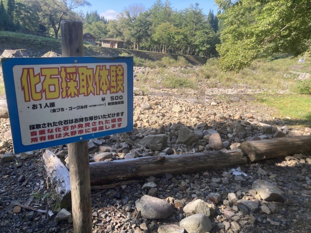 福井県でソロキャンプはいかが？　若狭牛でBBQなど体験記を写真付きで掲載